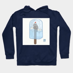 A VERY MERRY WALRUS Hoodie